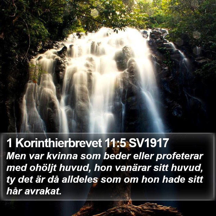 1 Korinthierbrevet 11:5 SV1917 Bible Study