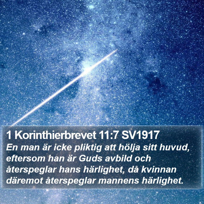 1 Korinthierbrevet 11:7 SV1917 Bible Study