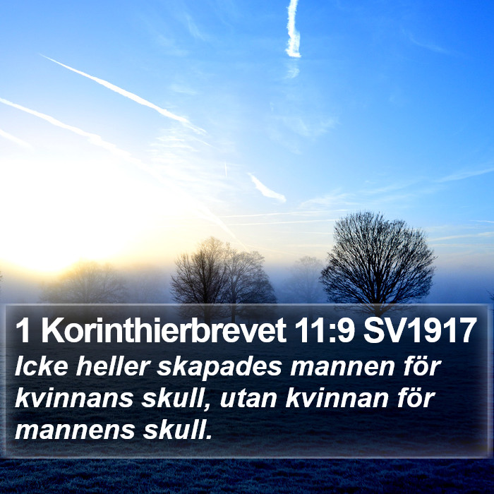 1 Korinthierbrevet 11:9 SV1917 Bible Study
