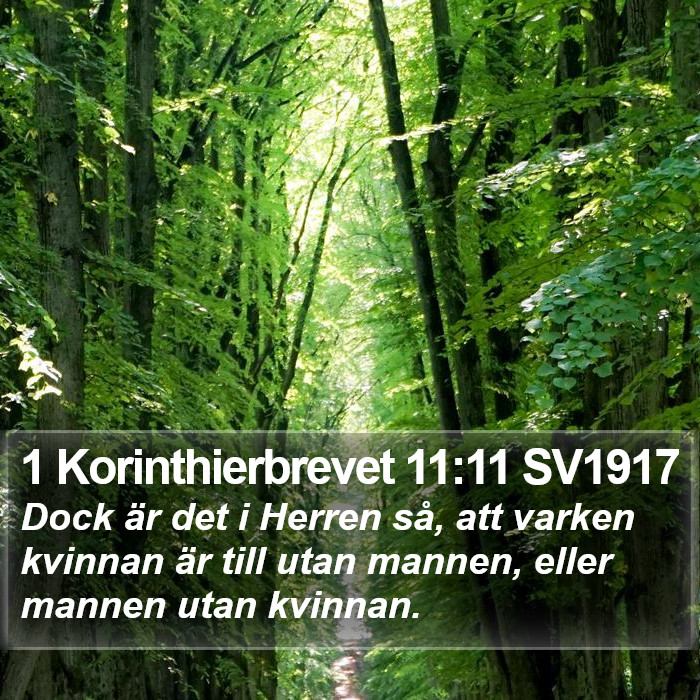1 Korinthierbrevet 11:11 SV1917 Bible Study