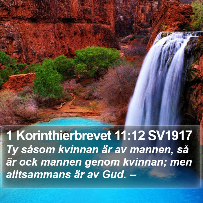 1 Korinthierbrevet 11:12 SV1917 Bible Study