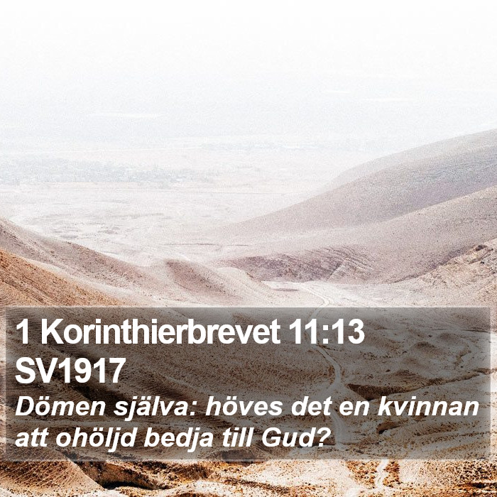 1 Korinthierbrevet 11:13 SV1917 Bible Study