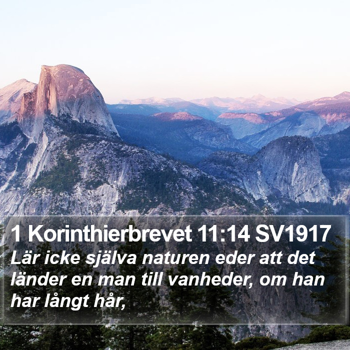 1 Korinthierbrevet 11:14 SV1917 Bible Study