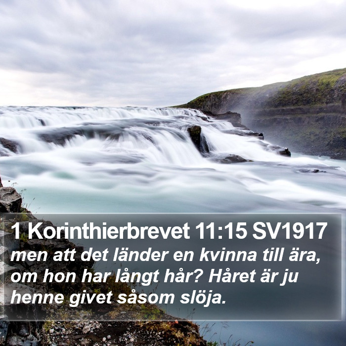 1 Korinthierbrevet 11:15 SV1917 Bible Study