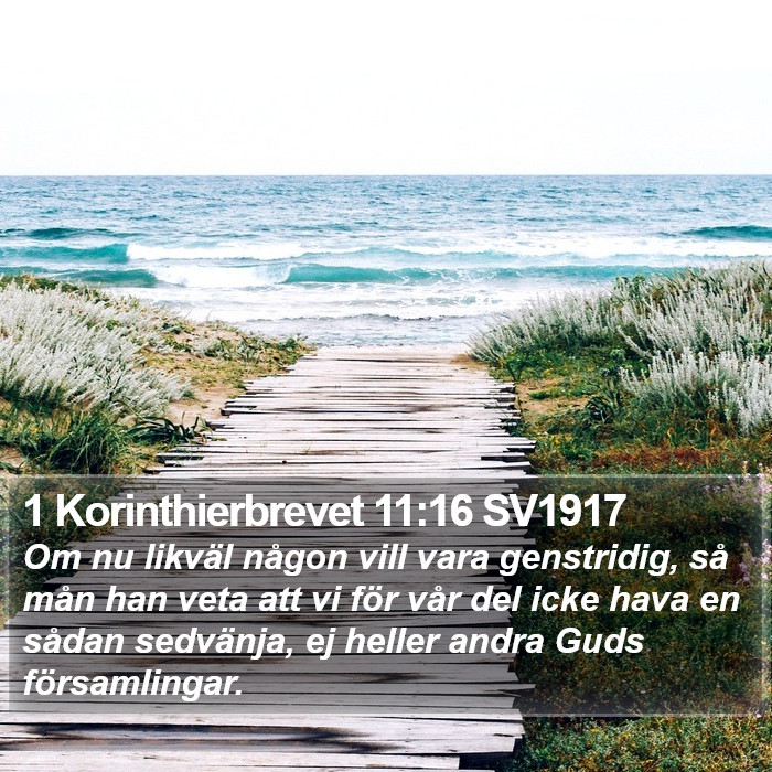 1 Korinthierbrevet 11:16 SV1917 Bible Study