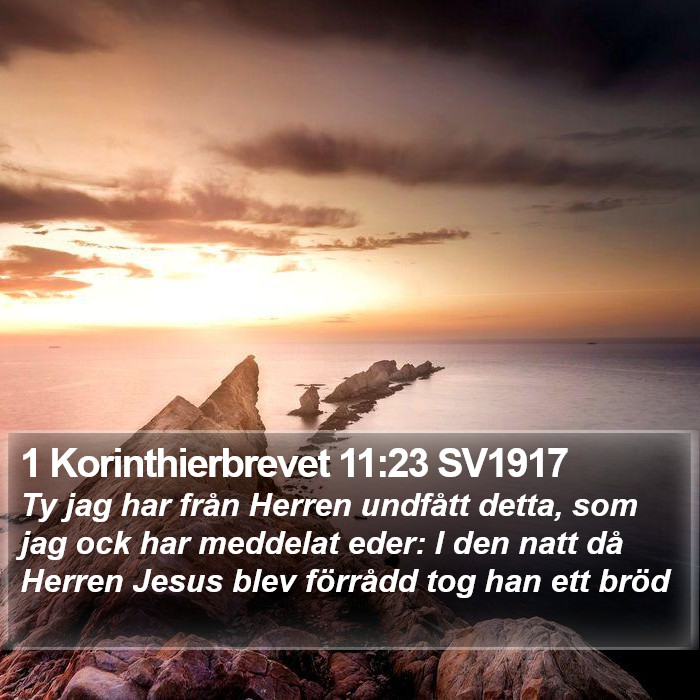 1 Korinthierbrevet 11:23 SV1917 Bible Study
