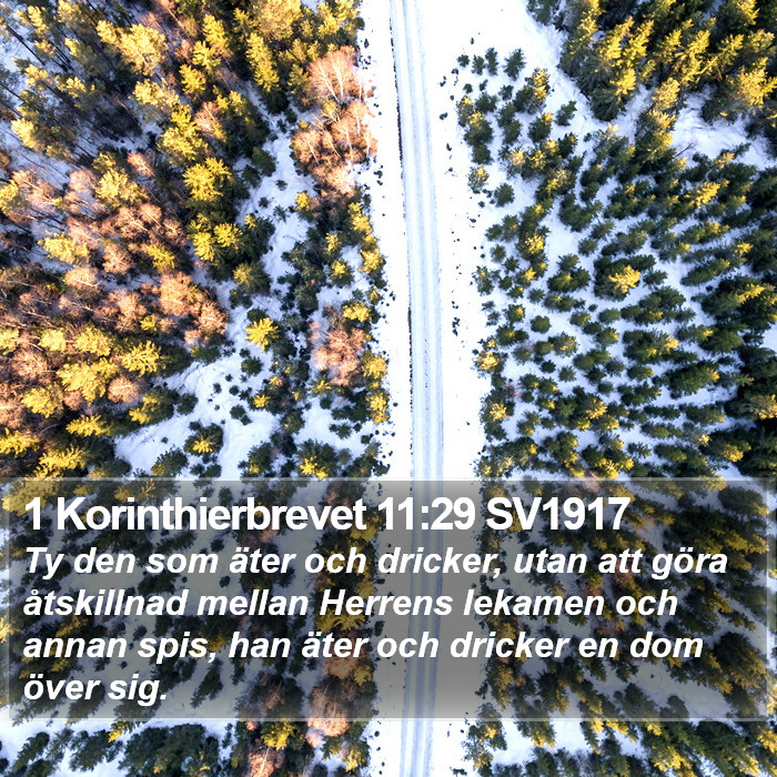 1 Korinthierbrevet 11:29 SV1917 Bible Study