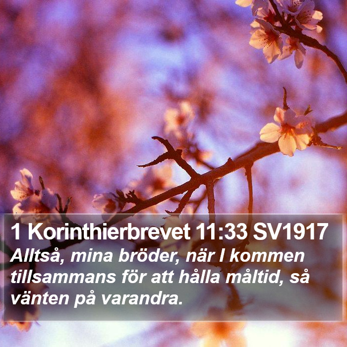 1 Korinthierbrevet 11:33 SV1917 Bible Study