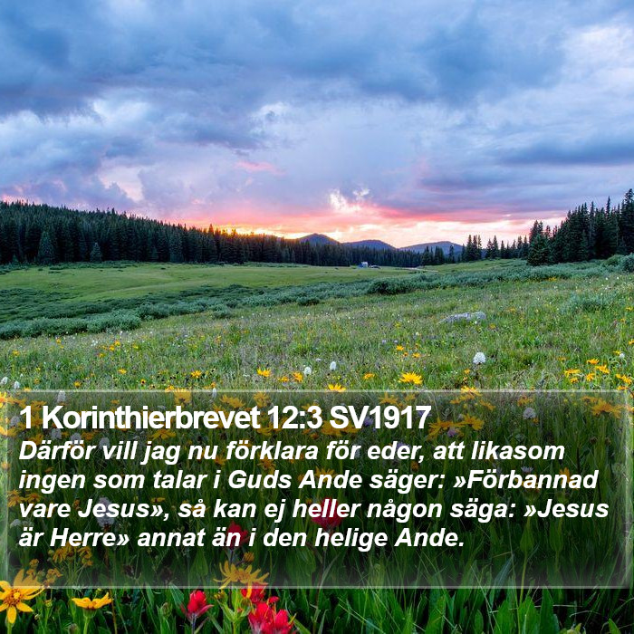 1 Korinthierbrevet 12:3 SV1917 Bible Study