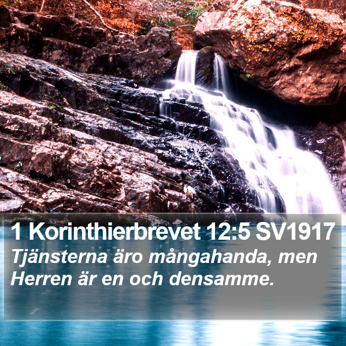 1 Korinthierbrevet 12:5 SV1917 Bible Study