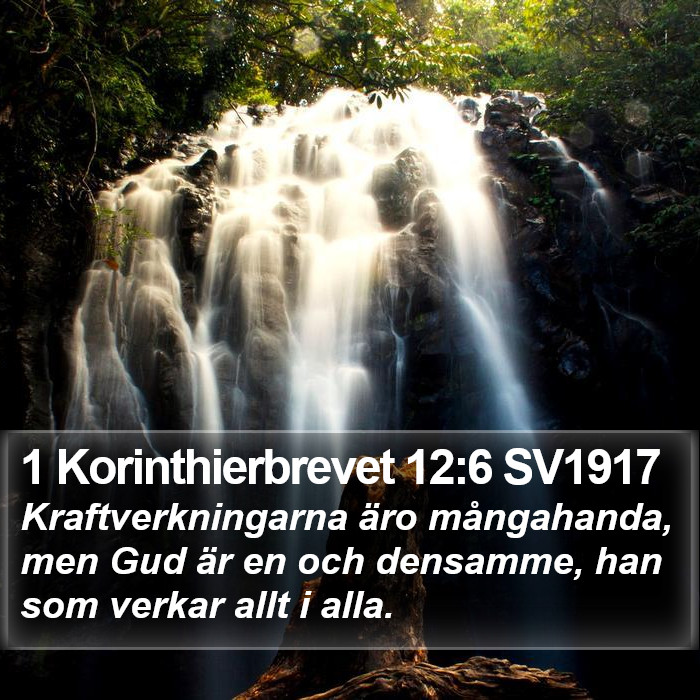 1 Korinthierbrevet 12:6 SV1917 Bible Study