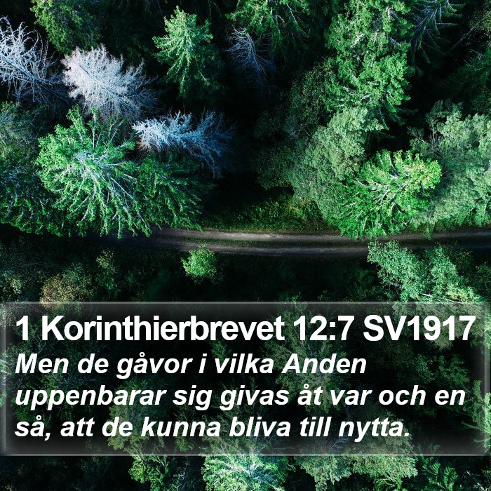 1 Korinthierbrevet 12:7 SV1917 Bible Study