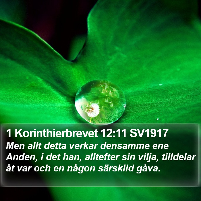 1 Korinthierbrevet 12:11 SV1917 Bible Study