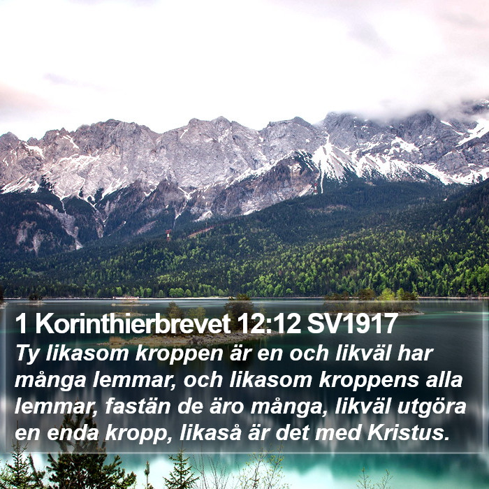 1 Korinthierbrevet 12:12 SV1917 Bible Study