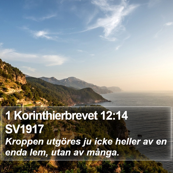1 Korinthierbrevet 12:14 SV1917 Bible Study