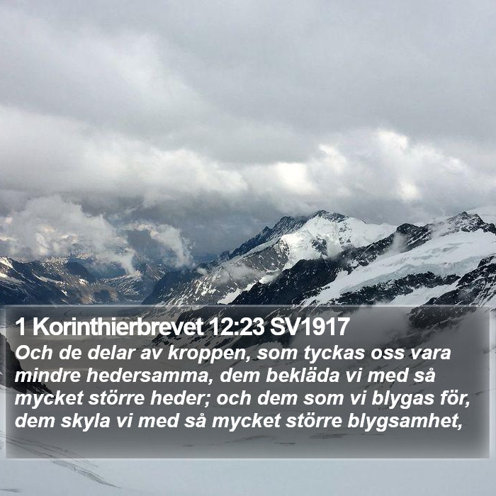 1 Korinthierbrevet 12:23 SV1917 Bible Study