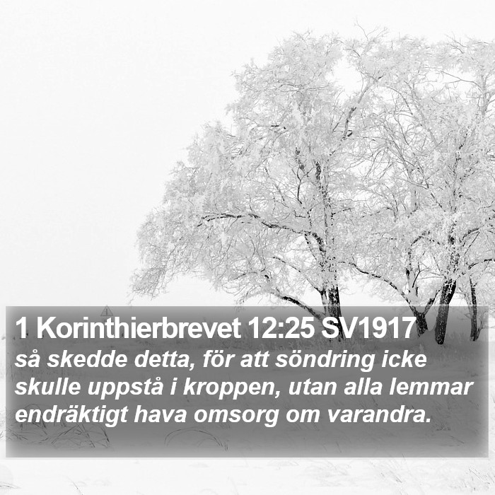 1 Korinthierbrevet 12:25 SV1917 Bible Study