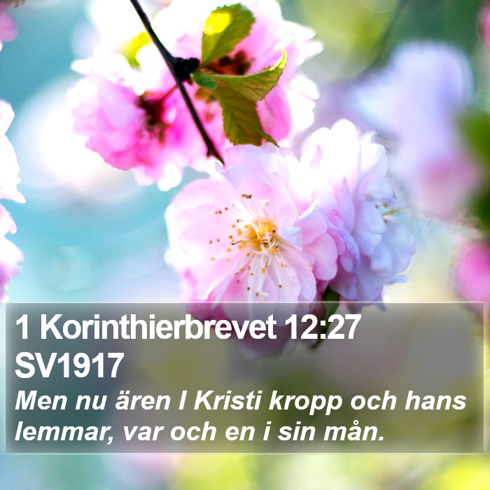1 Korinthierbrevet 12:27 SV1917 Bible Study
