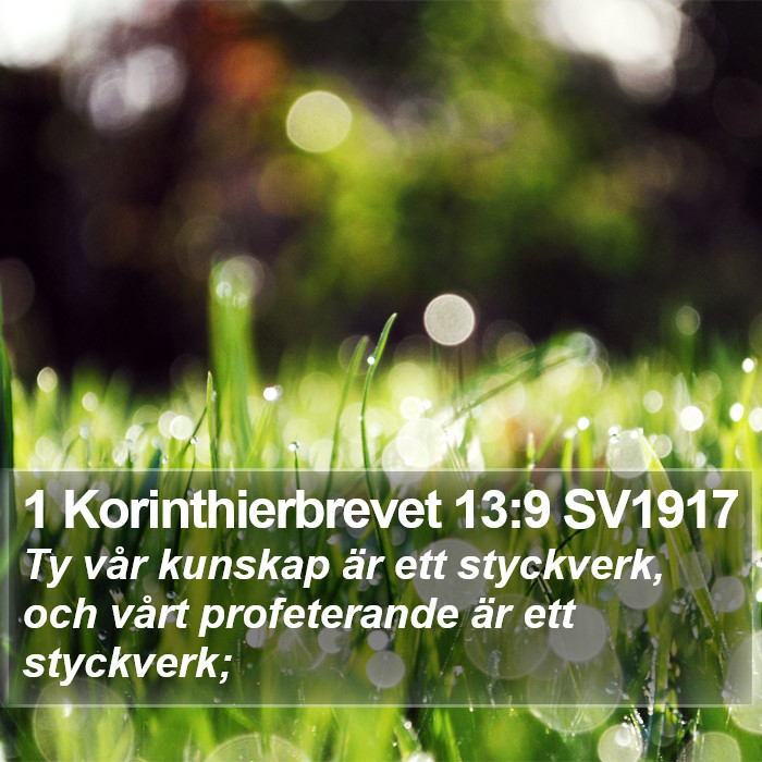 1 Korinthierbrevet 13:9 SV1917 Bible Study