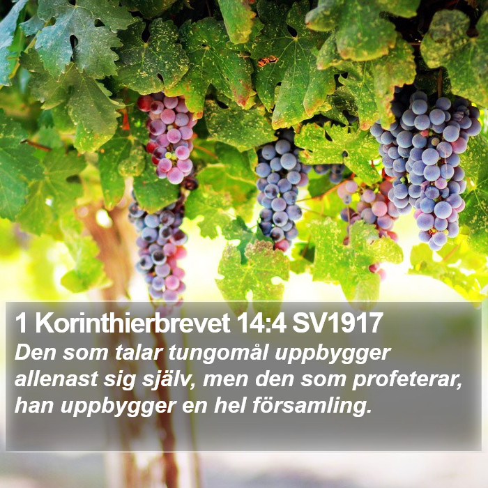 1 Korinthierbrevet 14:4 SV1917 Bible Study