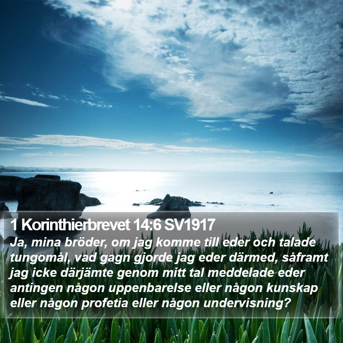 1 Korinthierbrevet 14:6 SV1917 Bible Study