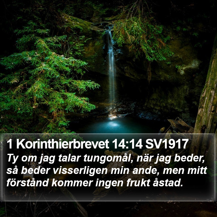 1 Korinthierbrevet 14:14 SV1917 Bible Study