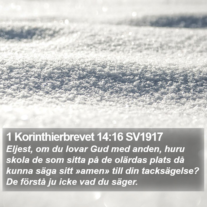 1 Korinthierbrevet 14:16 SV1917 Bible Study