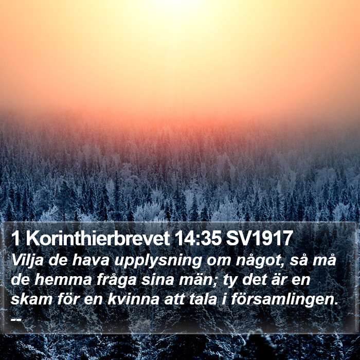 1 Korinthierbrevet 14:35 SV1917 Bible Study