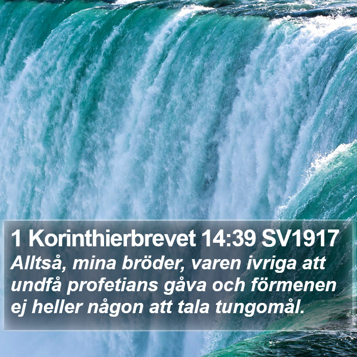 1 Korinthierbrevet 14:39 SV1917 Bible Study