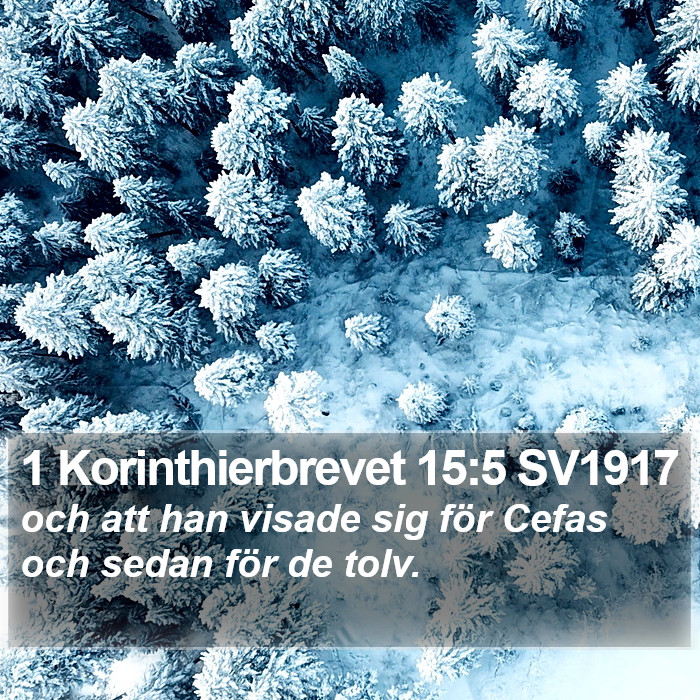 1 Korinthierbrevet 15:5 SV1917 Bible Study