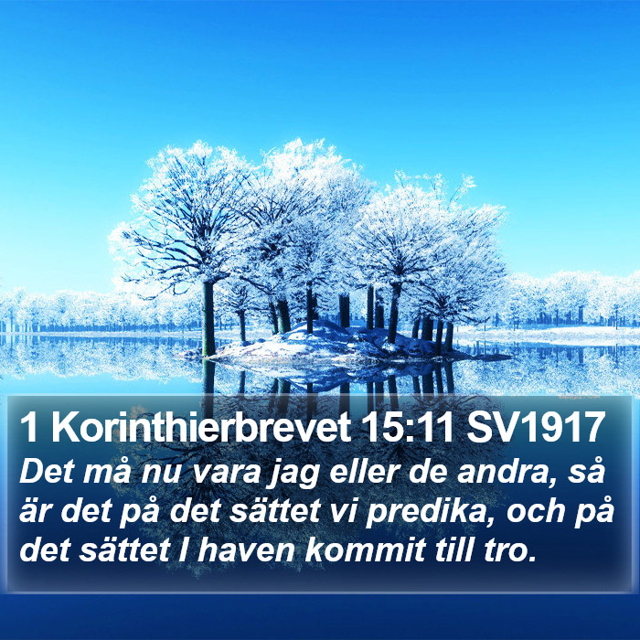1 Korinthierbrevet 15:11 SV1917 Bible Study