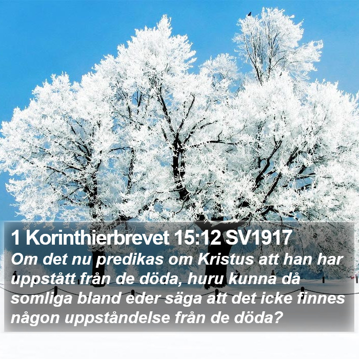 1 Korinthierbrevet 15:12 SV1917 Bible Study