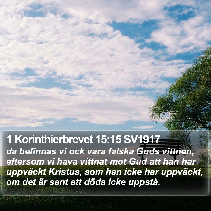 1 Korinthierbrevet 15:15 SV1917 Bible Study