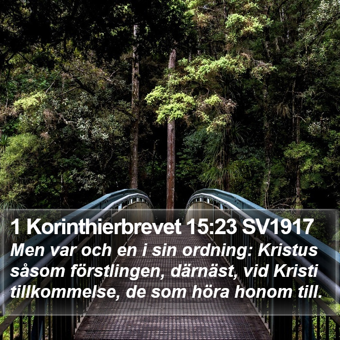 1 Korinthierbrevet 15:23 SV1917 Bible Study
