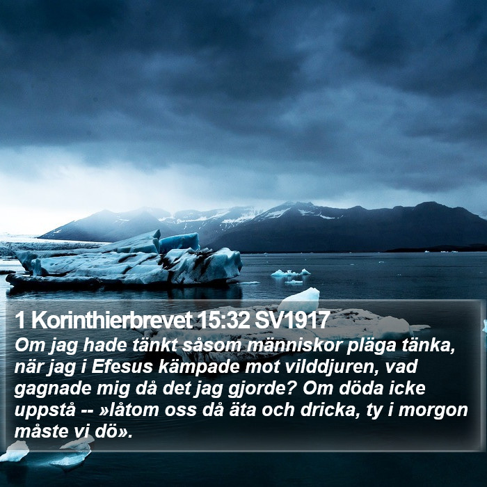 1 Korinthierbrevet 15:32 SV1917 Bible Study