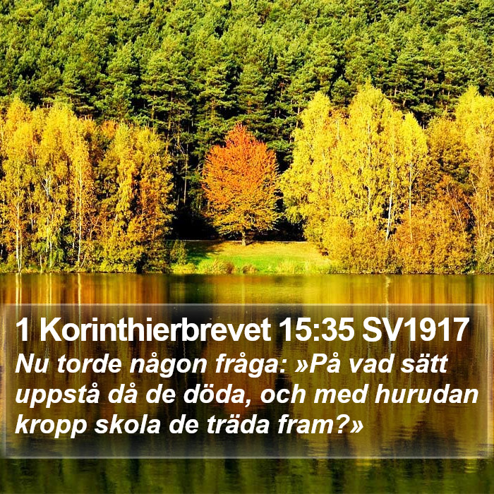 1 Korinthierbrevet 15:35 SV1917 Bible Study