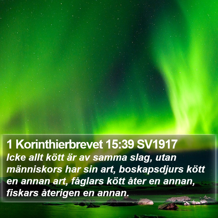 1 Korinthierbrevet 15:39 SV1917 Bible Study