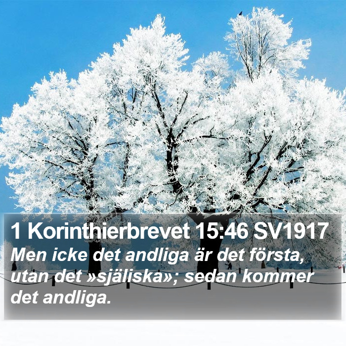 1 Korinthierbrevet 15:46 SV1917 Bible Study