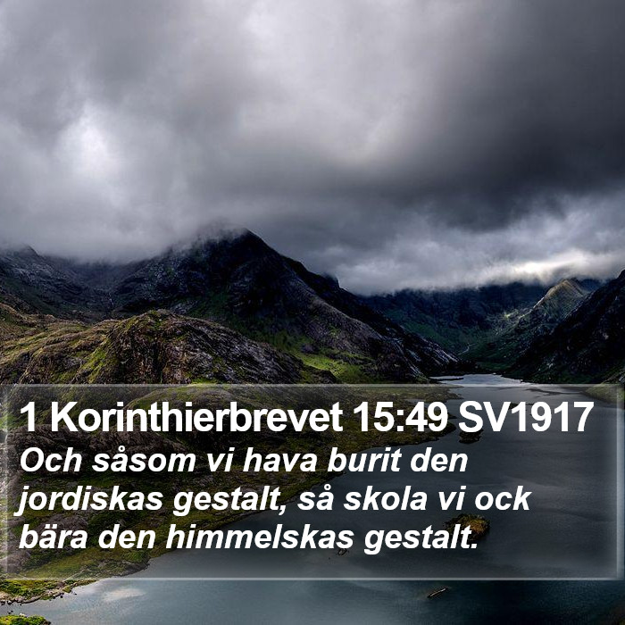 1 Korinthierbrevet 15:49 SV1917 Bible Study