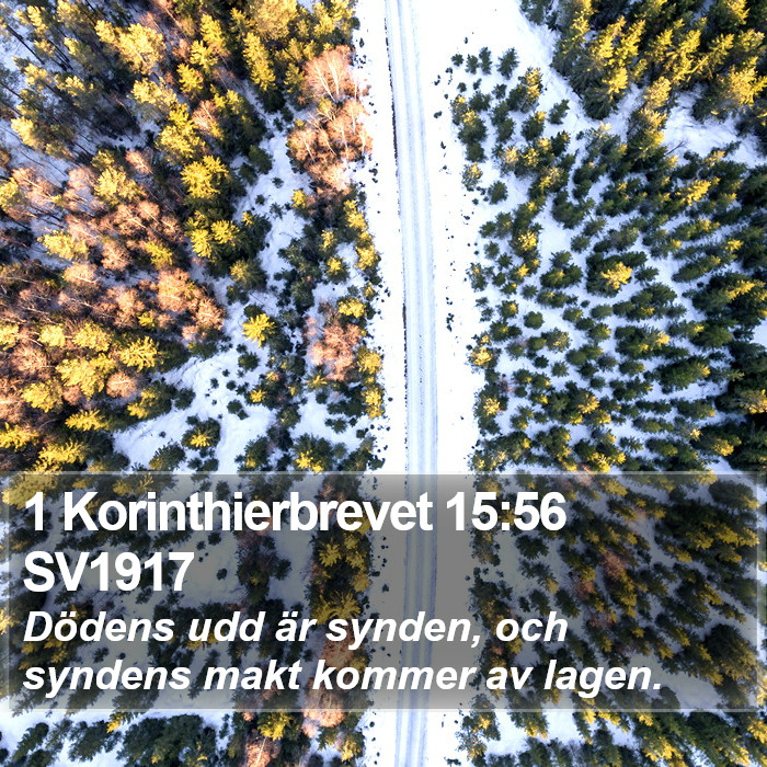 1 Korinthierbrevet 15:56 SV1917 Bible Study