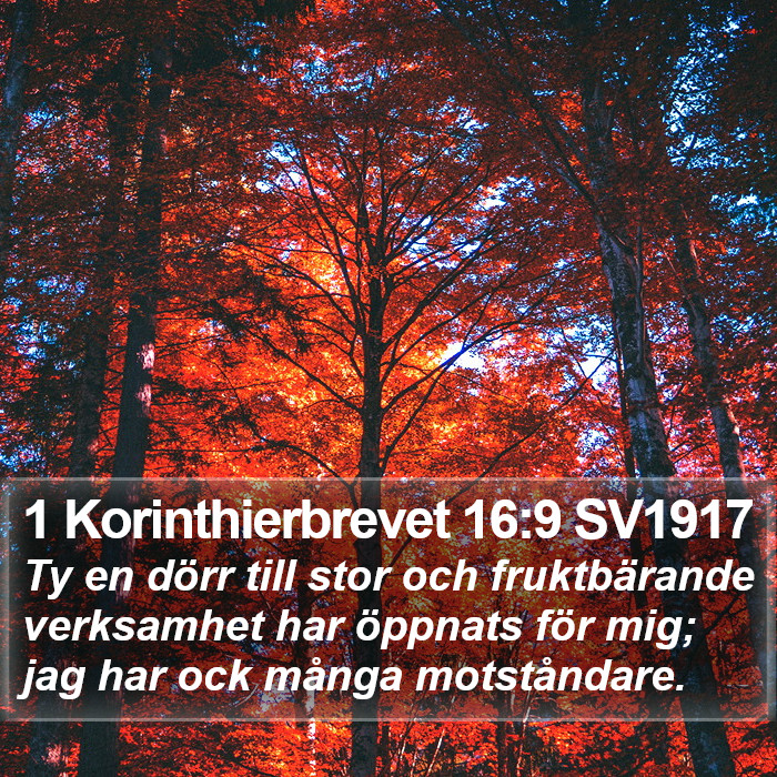 1 Korinthierbrevet 16:9 SV1917 Bible Study