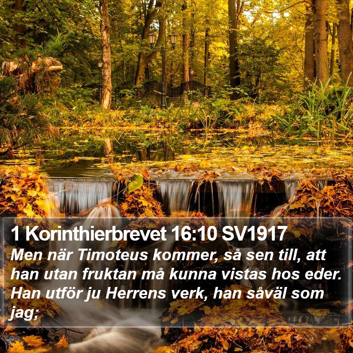 1 Korinthierbrevet 16:10 SV1917 Bible Study