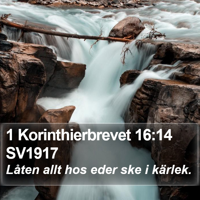 1 Korinthierbrevet 16:14 SV1917 Bible Study