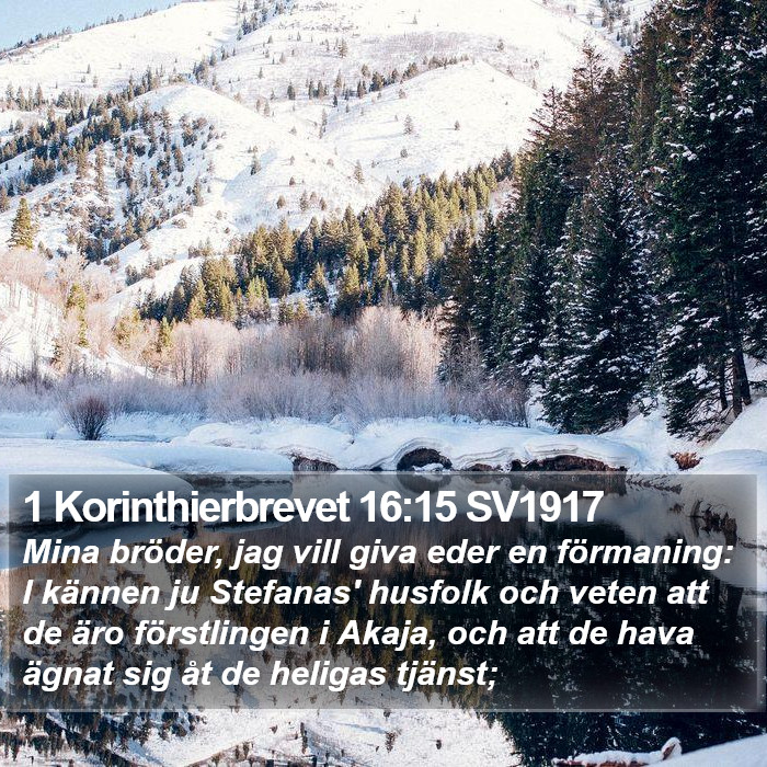 1 Korinthierbrevet 16:15 SV1917 Bible Study