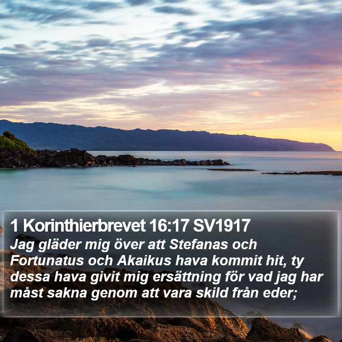 1 Korinthierbrevet 16:17 SV1917 Bible Study