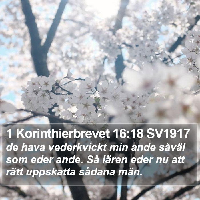 1 Korinthierbrevet 16:18 SV1917 Bible Study