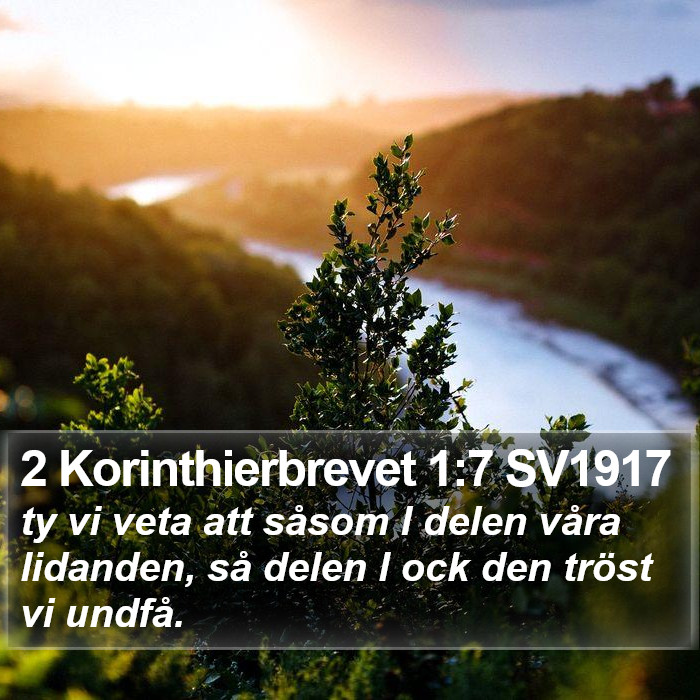 2 Korinthierbrevet 1:7 SV1917 Bible Study