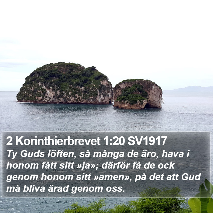 2 Korinthierbrevet 1:20 SV1917 Bible Study