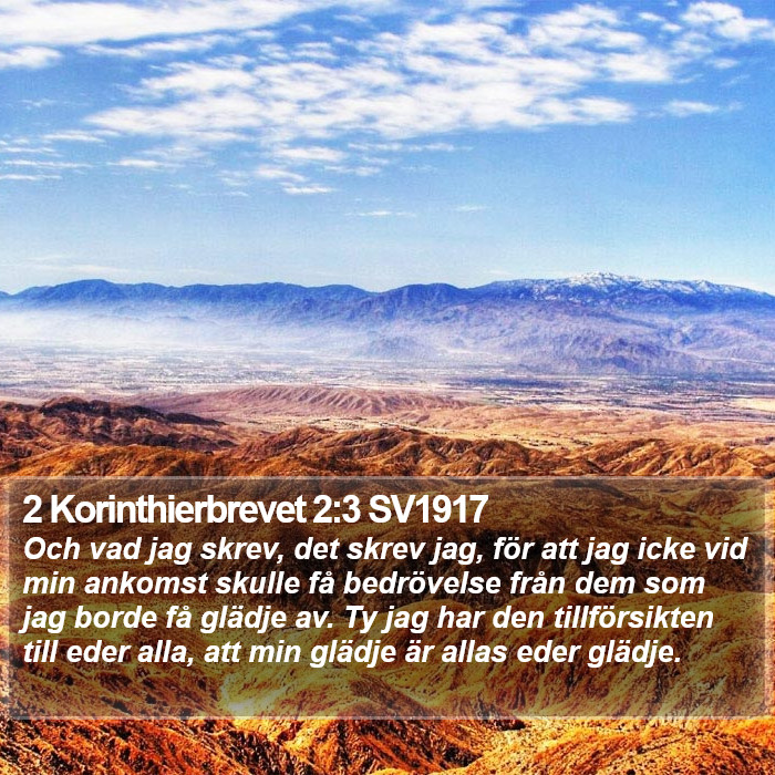 2 Korinthierbrevet 2:3 SV1917 Bible Study