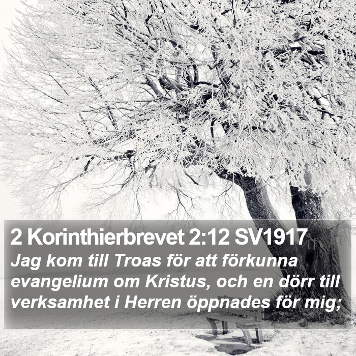 2 Korinthierbrevet 2:12 SV1917 Bible Study